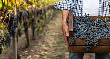 'Tadım Turları'nda yaz dönemi başladı