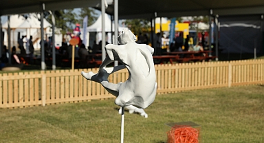 BU FESTİVALDE SANAT HER ALANDA!