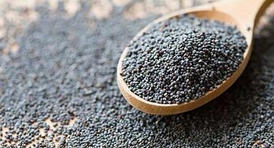 Haşhaş tohumu ihracatında yüzde 923'lük rekor artış