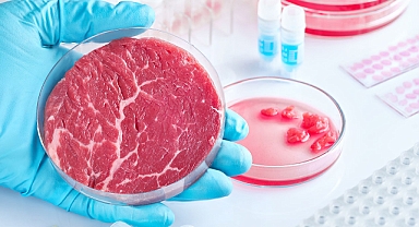 Hayvanlar masum çıktı, yapay et iklime daha zararlı