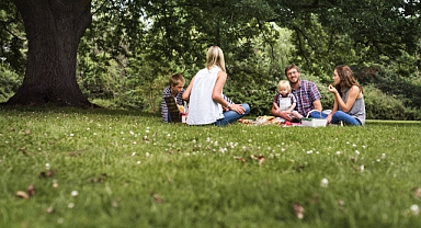 Sıcakların Artması Akrep Sokmaları Riskini de Beraberinde Getirdi!