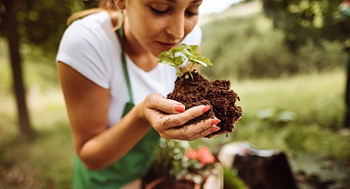 TSKB Ekonomik Araştırmalar, ‘İklime Dair’de karbonsuz bir dünya için orman ve toprağın önemine dikkat çekiyor