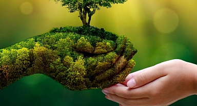 TSKB Ekonomik Araştırmalar, 'İklime Dair'de karbonsuz bir dünya için orman ve toprağın önemine dikkat çekiyor