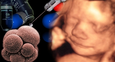 Tüp bebekte doğru bilinen yanlışlar