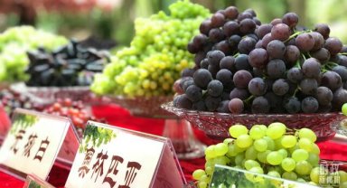 Üzüm Vadisi'nin gelişen "tatlı" sektörü