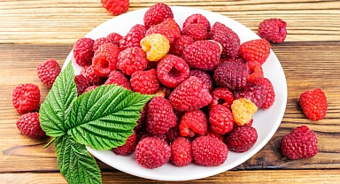 Ahududu Hasadı Başladı