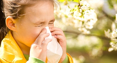 Beslenmenin alerji üzerine etkisi