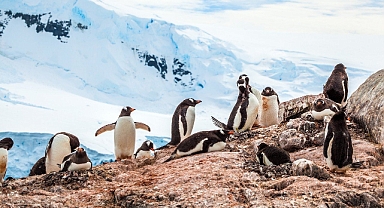 Dünya İnsanlara Ait Değil, İnsanlar Dünyaya Ait