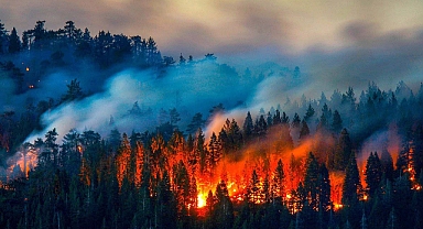 Enerjisa Enerji’den Orman Yangınlarını Önleyecek Erken Tespit Sistemi