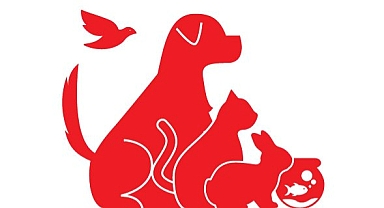 Evcil hayvanlara dair her şey PETZOO Ankara Fuarı'nda