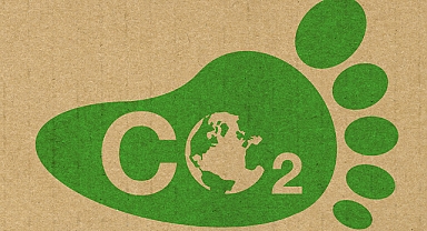 Karbon ayak izini sıfırlayan kripto projesi geliştirildi