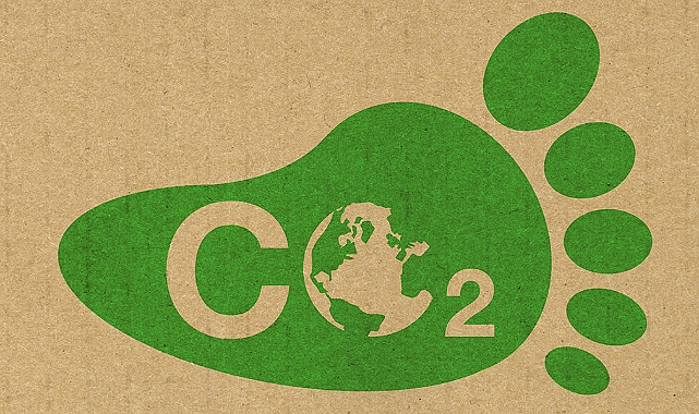 Karbon ayak izini sıfırlayan kripto projesi geliştirildi