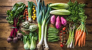 Vegan beslenme uzman eşliğinde olmalı