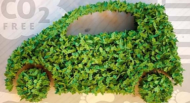 21 Eylül Sıfır Emisyon Günü ve İklim Değişikliği