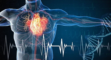 Ailevi hiperkolesterolemi, kalp krizinin en önemli nedenlerinden biri!