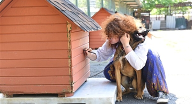Dünya Hayvanları Koruma Günü Kadıköy’de kutlanacak