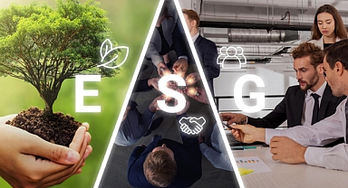 ESG Yatırımcı rehberi
