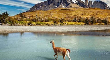 Milyarlarca dolar iklim değişikliği ile mücadeleye aktarılacak