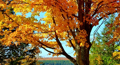 Sağlıklı sonbahar için 10 altın öneri