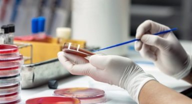 Sepsiste ilk saatlerde müdahale hayat kurtarıyor