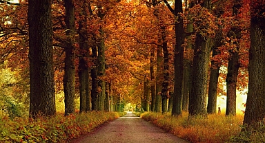 Sonbahara Uyum Sağlamanın Yolları