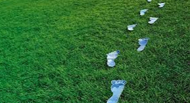 Yenilenebilir enerjiye hemen yönelmek 'dünyaya trilyonlarca dolar kazandırır