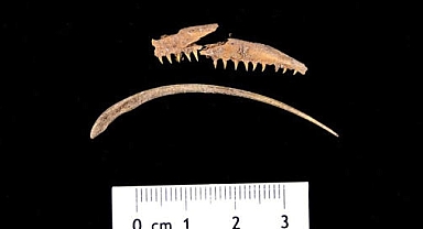 Assos'da heyecanlandıran keşif... Tam 1600 yıllık