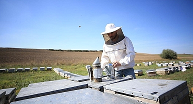 Bal üreticisi genç devlet desteğiyle kovan sayısını 10 kat artırdı
