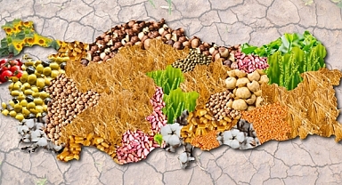  Türkiye'nin Organik ve Doğal Ürünleri Dünyaya Sergilenecek