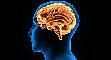 Beyni mutluluk için eğitmenin 6 yolu