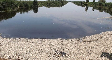 Büyük Menderes Havzası sermayenin kirliliğiyle boğuşuyor