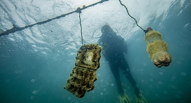 Çanakkale'de denizlerde kirlenmeye dikkati çeken 'Dijital Okyanus Tüneli' kurulacak