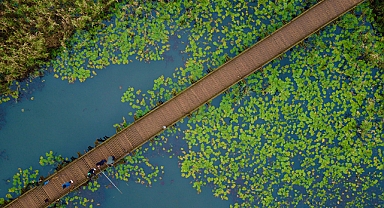 Düzce'nin doğal güzellikleri sonbaharın renklerine büründü