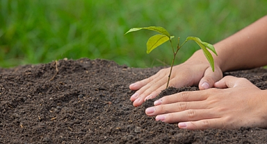 E-imza, ıslak imzalı iş maliyetlerini yüzde 75 azaltıyor