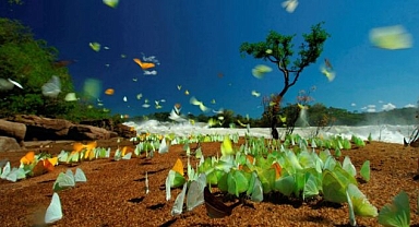 İnsanlık için kırmızı alarm seviyesi çoktan aşıldı