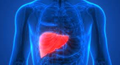 KARACİĞER NAKLİNE GÖTÜREN BU NEDENLERE DİKKAT!