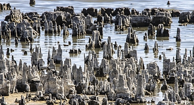 Kuraklık Van Gölü'nde binlerce yılda oluşan mikrobiyalitleri etkiliyor