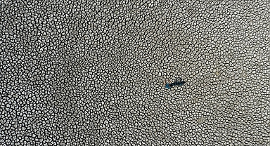 Küresel ısınmayla artan sıcaklıklar insan beynini olumsuz etkiliyor