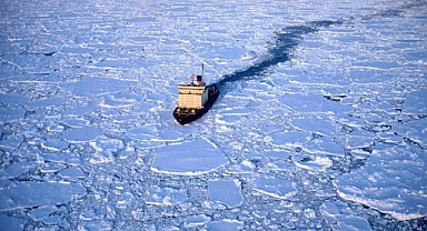 Kuzey Kutbu'nda tehlikeli yeşerme!