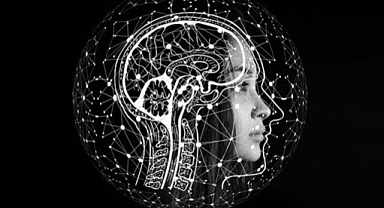 Laboratuvarda üretilen mini beyinler 5 dakikada oyun oynamayı öğrendi!