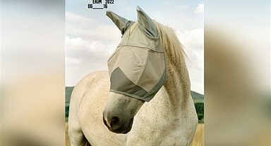 LG OLED Evo, 212 Photography Istanbul’a Teknoloji Desteği Veriyor!