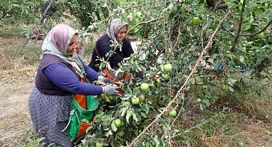 Şehirden köye göç başlattı, işsizliği bitirdi!