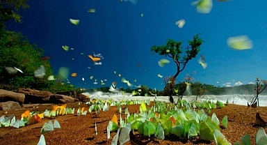 Yaşayan Gezegen Raporu’nun 2022 Verileri Gezegenimiz için Alarm Veriyor!