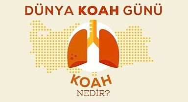 16 KASIM 2022 DÜNYA KOAH GÜNÜ 