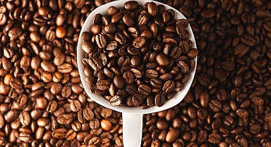 ARABICA BİTKİSİ DÜNYA KAHVE PAZARININ YÜZDE 70'İNE HAKİM 