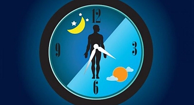 Başarının Sırrı Biyolojik Saatimize Uyum Sağlamak