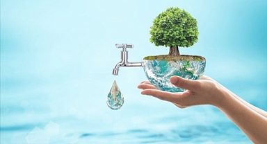 Fairy ile enerjiden tasarrufun yolları: Yılda 300TL’ye varan enerji tasarrufu