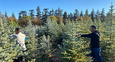 Kayseri Büyükşehir, topladığı 1 ton tohumu yeniden toprakla buluşturdu