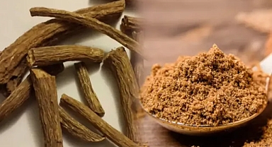 Kış aylarını bomba gibi geçirin! Udi hindi bitkisi 