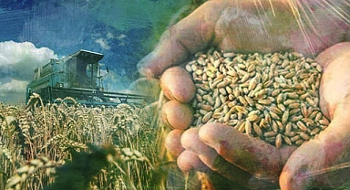 Küresel gıda fiyatları diken üstünde